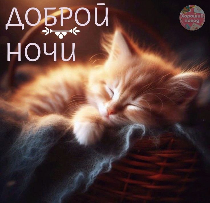 Открытка «Доброй ночи»: Доброй ночи: Милый рыжий котенок в корзинке. Тэги: Спокойной ночи, Спокойной ночи, с пожелани…