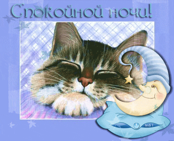 Открытка «Доброй ночи»: Спокойной ночи: милый спящий кот и месяц. Тэги: Спокойной ночи, Спокойной ночи, с пожеланиями…
