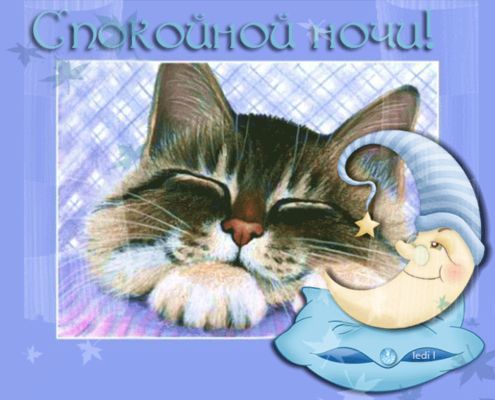 Открытка «Доброй ночи»: Спокойной ночи: милый спящий кот и месяц. Тэги: Спокойной ночи, Спокойной ночи, с пожеланиями…