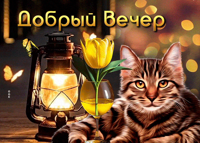 Открытка «Добрый вечер и пожелания»: Добрый вечер: «Уютный кот и керосиновая лампа». Тэги: Добрый вечер красивые…