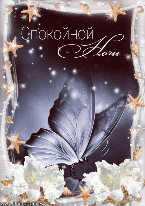 Открытка «Доброй ночи»: Спокойной ночи: «Сказочная бабочка и цветы». Тэги: Спокойной ночи, Спокойной ночи, красивые…