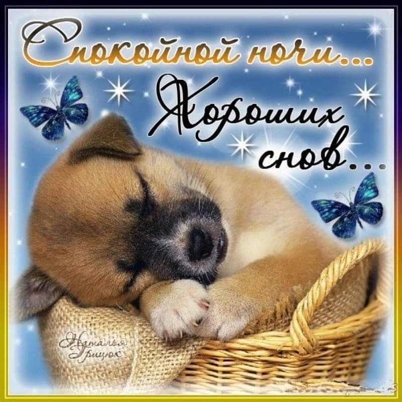 Открытка «Доброй ночи»: Спокойной ночи: милый щенок и добрые пожелания. Тэги: Спокойной ночи, Спокойной ночи, с пожел…