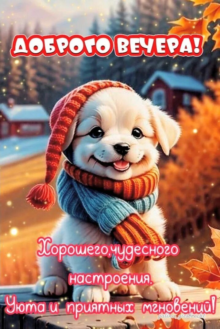 Открытка «Добрый вечер и пожелания»: Добрый вечер: милый щенок и теплое пожелание. Тэги: Доброго вечера и хорошего на…