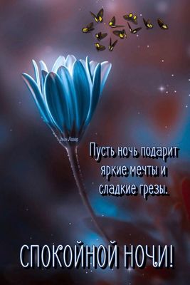 Открытка «Доброй ночи»: Спокойной ночи: Волшебный цветок и яркие мечты. Тэги: Спокойной ночи, пожелание, сказочный…