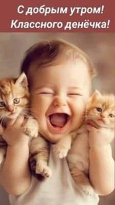 Открытка «С добрым утром»: С добрым утром! Классного денечка с котятами. Тэги: С добрым утром, с котами!, С добрым ут…