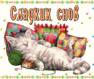 Открытка «Доброй ночи»: Спокойной ночи: милый котик желает сладких снов. Тэги: Спокойной ночи, Спокойной ночи, красив…