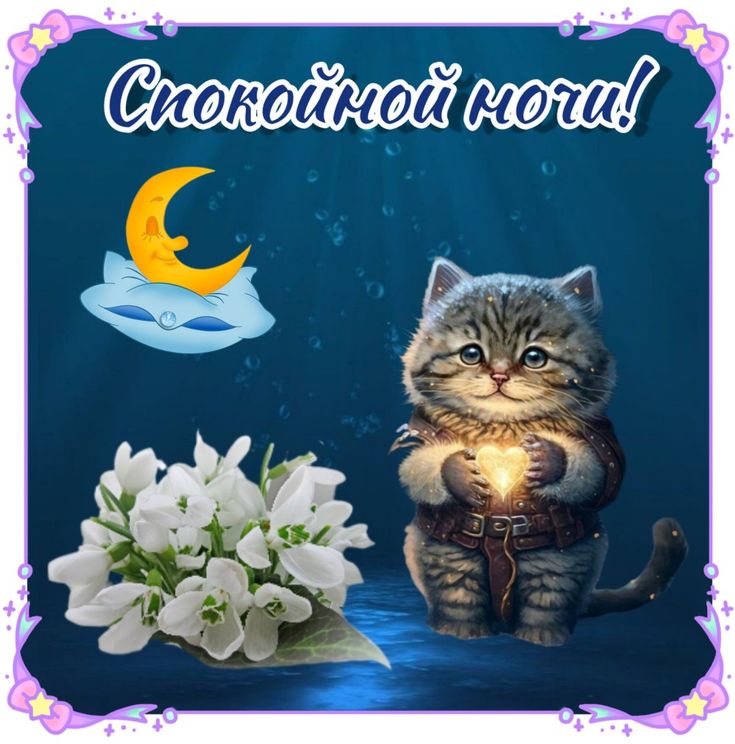 Открытка «Доброй ночи»: Спокойной ночи: милый котенок и подснежники. Тэги: Спокойной ночи, Спокойной ночи, с пожелани…