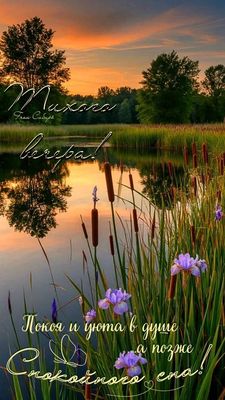 Открытка «Спокойной ночи»: Добрый вечер: «Тихого вечера и спокойного сна». Тэги: Добрый вечер и пожелания, Добрый веч…