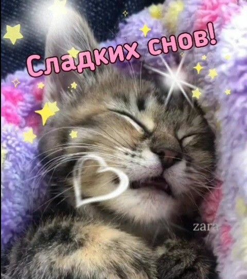 Открытка «Доброй ночи»: Доброй ночи: Сладких снов с милым котенком. Тэги: Спокойной ночи, Спокойной ночи, с пожелания…