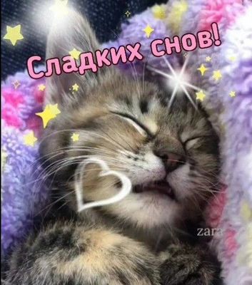 Открытка «Доброй ночи»: Доброй ночи: Сладких снов с милым котенком. Тэги: Спокойной ночи, Спокойной ночи, с пожелания…