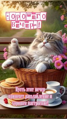 Открытка «Пожелание»: Добрый вечер: Кот в корзине и пожелание отдыха. Тэги: настроение, радость, забавный, кот…