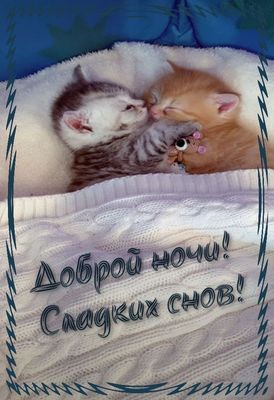 Открытка «Доброй ночи»: Доброй ночи: милые котята и пожелание сладких снов. Тэги: Спокойной ночи, Спокойной ночи…