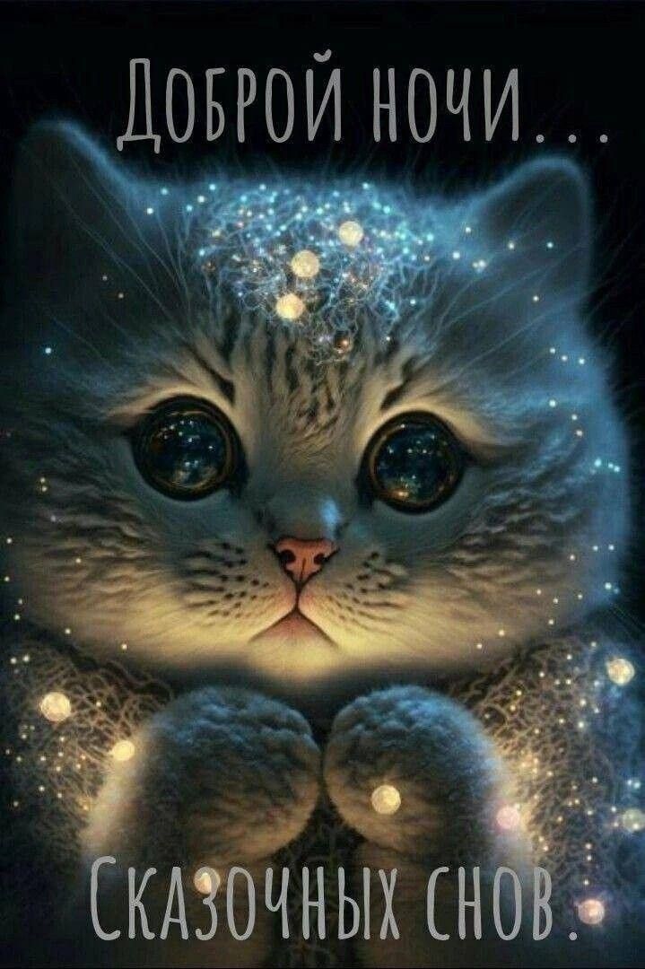 Открытка «Доброй ночи»: Доброй ночи: «Волшебный котик» и сказочные сны. Тэги: Спокойной ночи, Спокойной ночи, красивые…