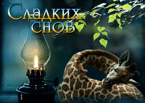 Открытка «Доброй ночи»: Спокойной ночи: Сладких снов и милый жираф. Тэги: Спокойной ночи, Спокойной ночи, с пожелания…