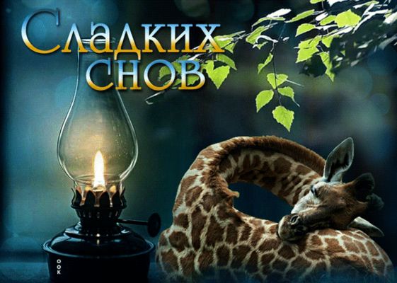 Открытка «Доброй ночи»: Спокойной ночи: Сладких снов и милый жираф. Тэги: Спокойной ночи, Спокойной ночи, с пожелания…