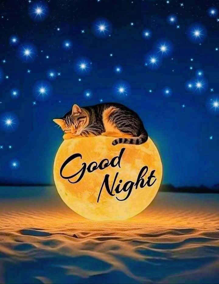 Открытка «Доброй ночи»: Спокойной ночи: «Спящий кот на луне». Тэги: Спокойной ночи, Спокойной ночи, красивые, Спокойн…