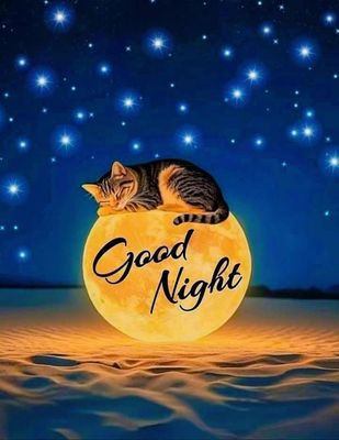 Открытка «Доброй ночи»: Спокойной ночи: «Спящий кот на луне». Тэги: Спокойной ночи, Спокойной ночи, красивые, Спокойн…
