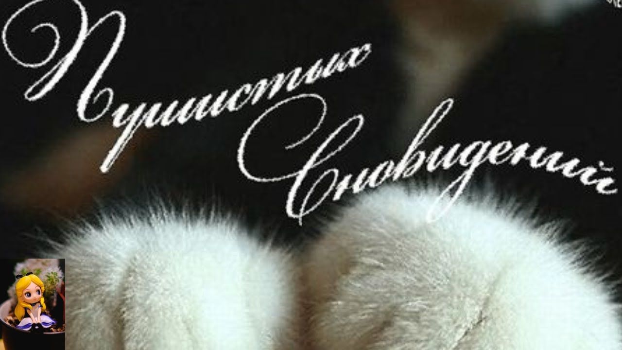 Открытка «Доброй ночи»: Доброй ночи: «Пушистых сновидений» с милыми лапками кота. Тэги: Спокойной ночи, Спокойной ночи…