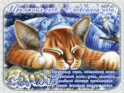 Открытка «Доброй ночи»: Спокойной ночи: Кот в колпаке и доброе пожелание. Тэги: Спокойной ночи, Спокойной ночи…