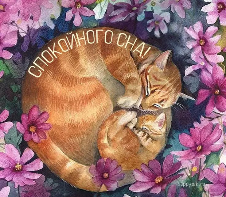 Открытка «Доброй ночи»: Спокойной ночи: Спящие котики в цветах. Тэги: Спокойной ночи, Спокойной ночи, с пожеланиями…