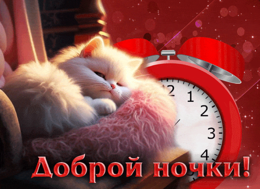 Открытка «Доброй ночи»: Спокойной ночи: милый белый котик и будильник. Тэги: Спокойной ночи, Спокойной ночи, с пожела…