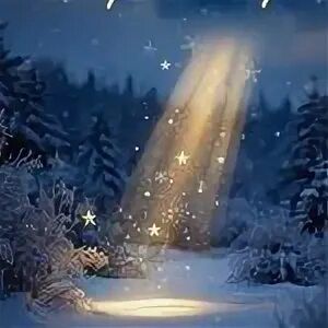 Открытка «Доброй ночи»: Спокойной ночи: «Волшебный свет в зимнем лесу». Тэги: Спокойной ночи, Спокойной ночи, красивые…