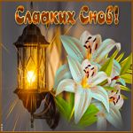 Открытка «Доброй ночи»: Спокойной ночи: открытка «Сладких снов» с лилиями. Тэги: Спокойной ночи, Спокойной ночи…