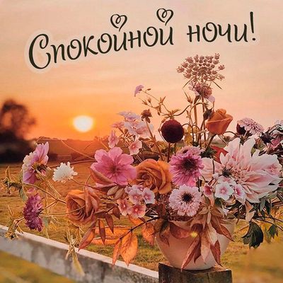 Открытка «Доброй ночи»: Спокойной ночи: красивый букет цветов на закате. Тэги: Спокойной ночи, Спокойной ночи, красив…
