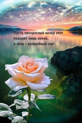 Открытка «Доброй ночи»: Добрый вечер: Красивая роза на фоне закатного озера. Тэги: Добрый вечер и пожелания, Доброго…