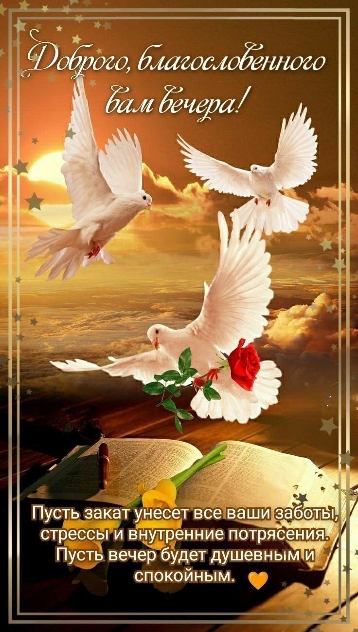 Открытка «Пожелание»: Добрый вечер: «Благословение и душевный покой». Тэги: радость, птица, роза, цветок, природа…