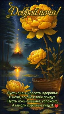 Открытка «Доброй ночи»: Доброй ночи: Волшебный цветок в лодке и пожелание.