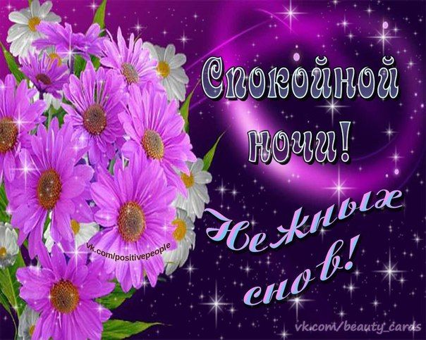 Открытка «Доброй ночи»: Спокойной ночи: Креативная открытка с цветами. Тэги: Спокойной ночи, Спокойной ночи, красивые…