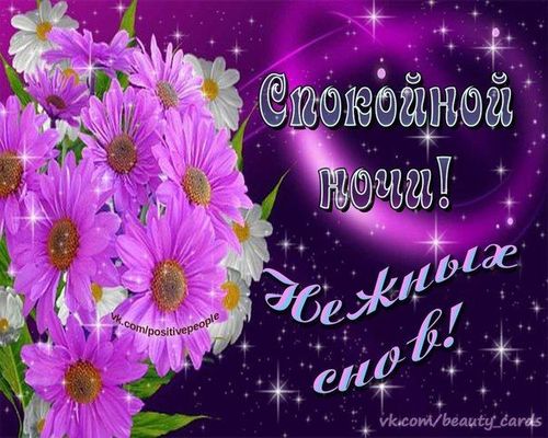 Открытка «Доброй ночи»: Спокойной ночи: Креативная открытка с цветами. Тэги: Спокойной ночи, Спокойной ночи, красивые…