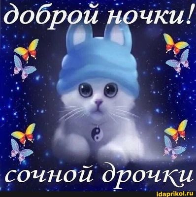 Открытка «Доброй ночи»: Спокойной ночи: милый котик в шапке и бабочки. Тэги: Спокойной ночи, Спокойной ночи, с пожела…