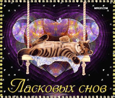 Открытка «Доброй ночи»: Спокойной ночи: Ласковых снов с милым котиком. Тэги: Спокойной ночи, анимационный, Спокойной…