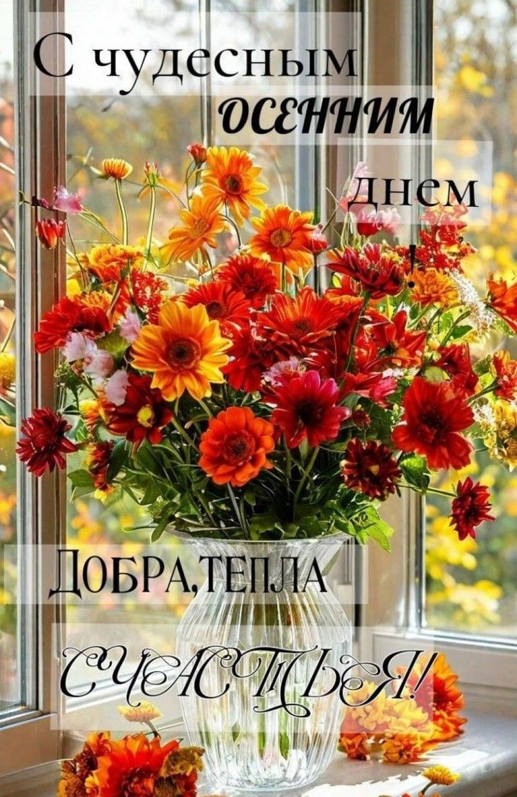 Открытка «Добрый день»: Добрый день: «С чудесным осенним днем». Тэги: Добрый день и добрые пожелания, Добрый день…