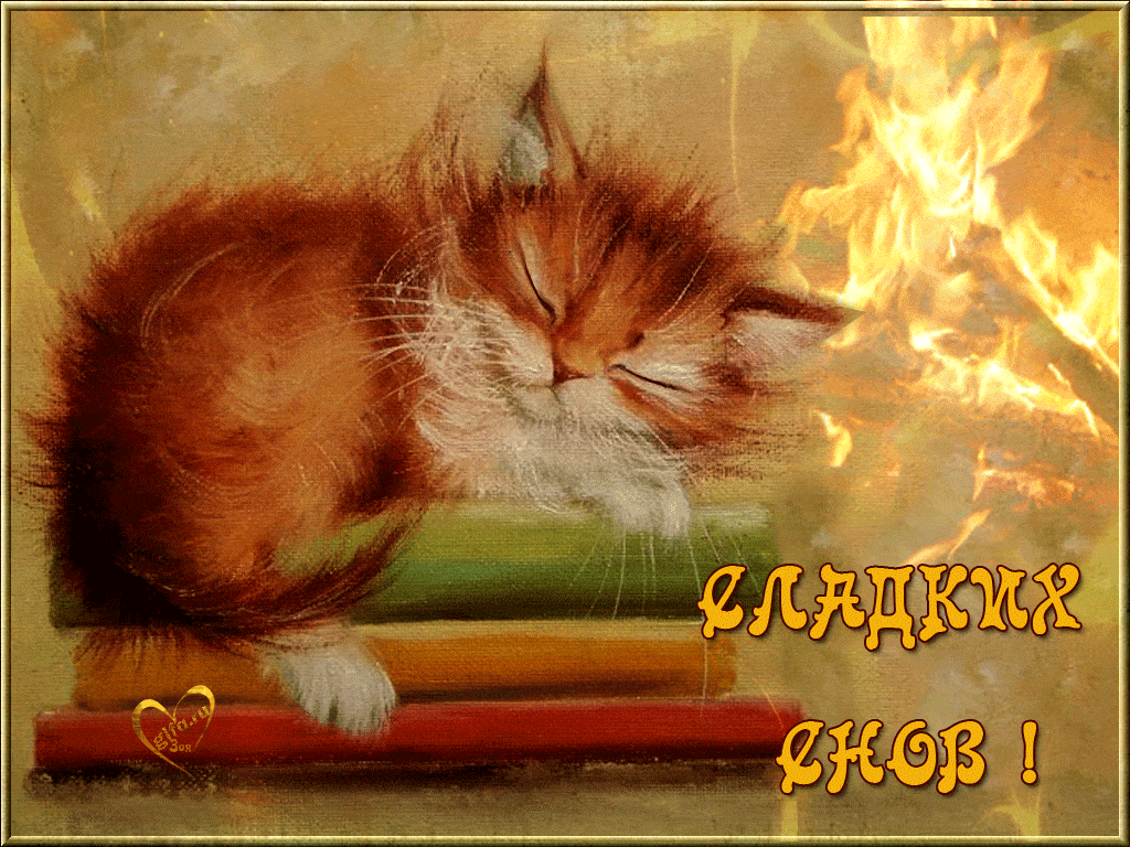 Открытка «Доброй ночи»: Доброй ночи: Спящий рыжий котенок и пожелание сладких снов. Тэги: Спокойной ночи, Спокойной н…