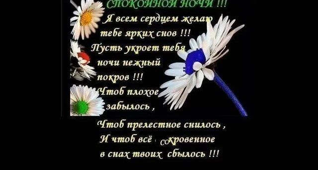 Открытка «Доброй ночи»: Спокойной ночи: пожелание ярких снов и нежности. Тэги: Спокойной ночи, Спокойной ночи, с поже…