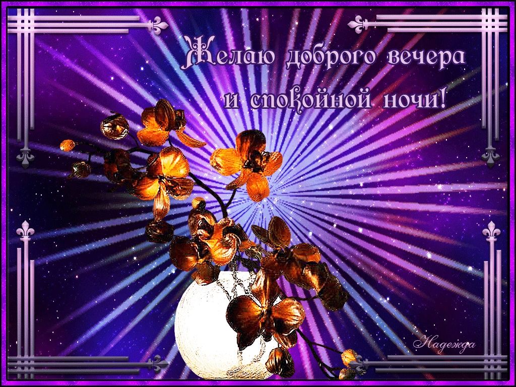 Открытка «Спокойной ночи»: Добрый вечер и спокойной ночи: открытка с орхидеей. Тэги: Добрый вечер и пожелания, Добрый…