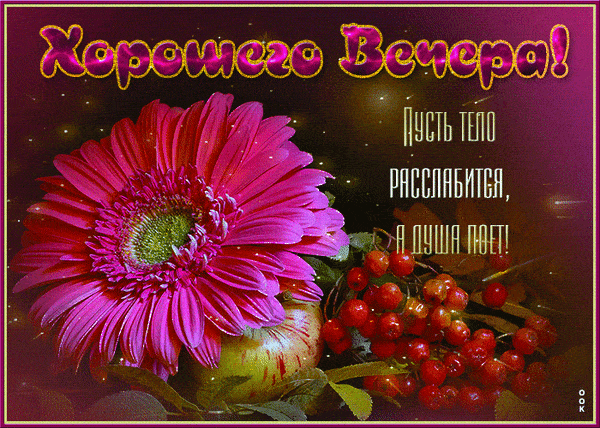 Открытка «Добрый вечер и пожелания»: Добрый вечер: красивая открытка с герберой и рябиной. Тэги: Доброго вечера и хор…
