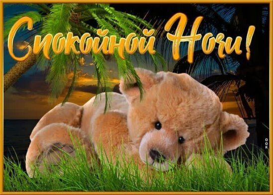 Открытка «Доброй ночи»: Спокойной ночи: милый плюшевый мишка под пальмами. Тэги: Спокойной ночи, Спокойной ночи…