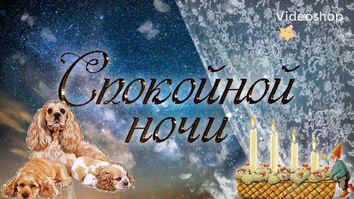 Открытка «Доброй ночи»: Доброй ночи: «Семья спаниелей под звездным небом». Тэги: Спокойной ночи, Спокойной ночи…