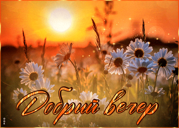 Открытка «Добрый вечер и пожелания»: Добрый вечер: Красивая открытка с ромашками у реки. Тэги: Доброго летнего вечера…