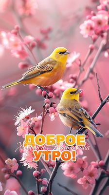 Открытка «С добрым утром»: С добрым утром! Хорошего настроения и весенней радости. Тэги: С добрым весенним утром…