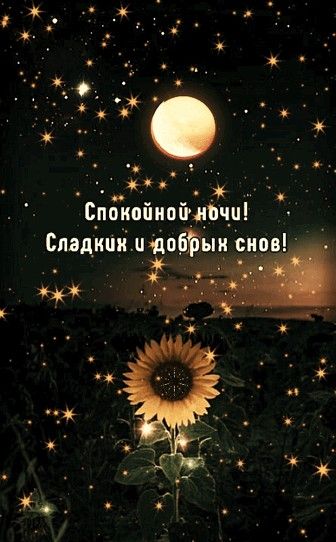 Открытка «Доброй ночи»: Спокойной ночи: пожелание сладких и добрых снов. Тэги: Спокойной ночи, проза, Спокойной ночи…
