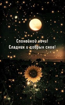 Открытка «Доброй ночи»: Спокойной ночи: пожелание сладких и добрых снов. Тэги: Спокойной ночи, проза, Спокойной ночи…