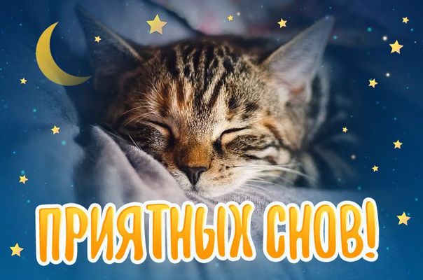Открытка «Доброй ночи»: Спокойной ночи: милый спящий кот и звездное небо. Тэги: Спокойной ночи, Спокойной ночи…