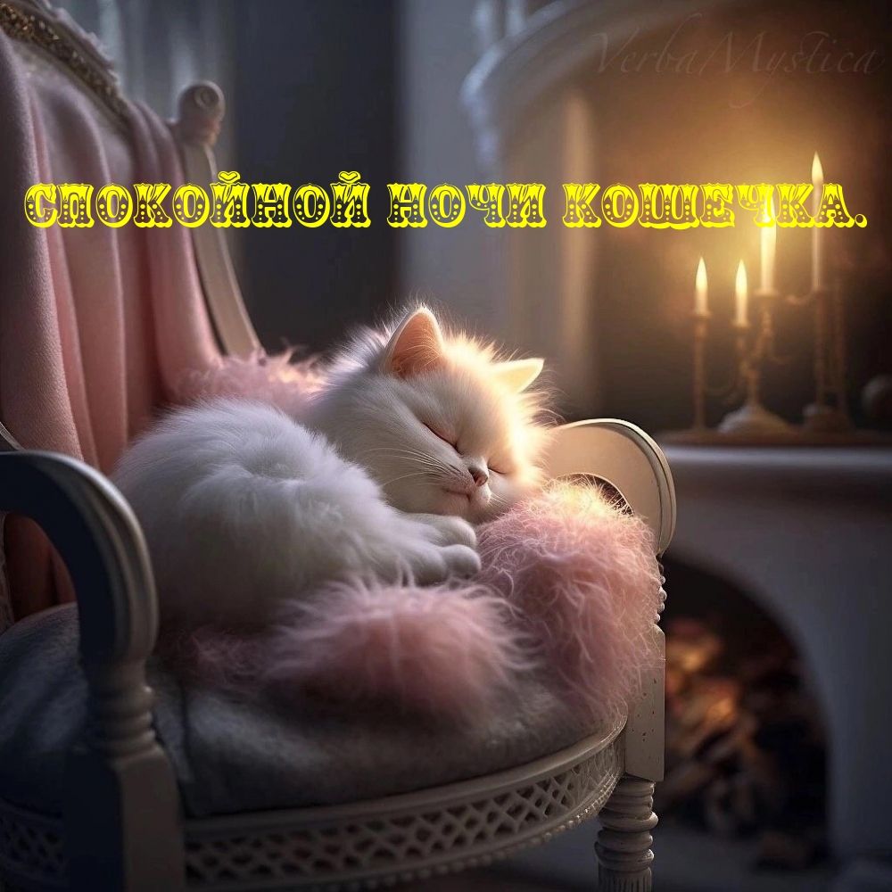 Открытка «Доброй ночи»: Спокойной ночи: милая белая кошечка на кресле. Тэги: Спокойной ночи, любимая женщина, любимая…