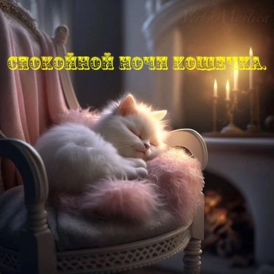 Открытка «Доброй ночи»: Спокойной ночи: милая белая кошечка на кресле. Тэги: Спокойной ночи, любимая женщина, любимая…