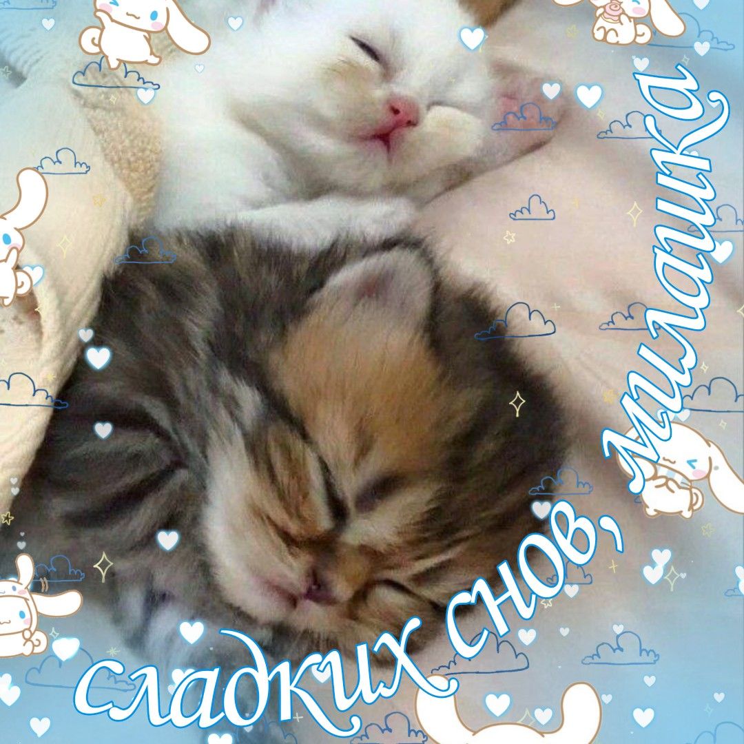 Открытка «Доброй ночи»: Спокойной ночи: спящие котята для милашки. Тэги: Спокойной ночи, любимая женщина, любимая дев…